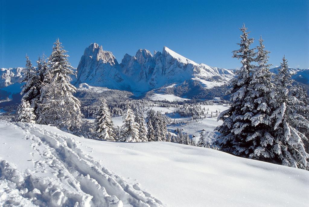 Alpin Sport Aparthotel Ortisei Exterior photo